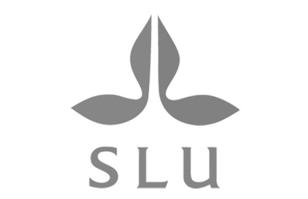 SLU